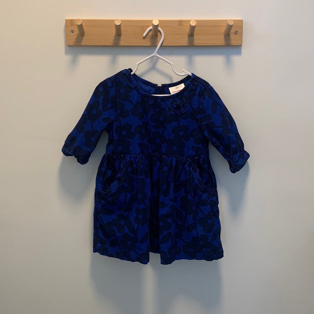 Hanna Andersson dress